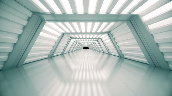 White Tunnel Loop