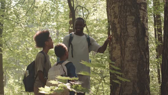 Dad with Sons Camping Together in Forest