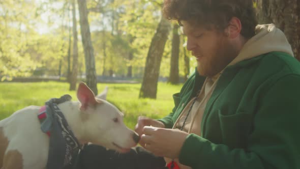 Cute Dog Begging Owner for Treats in Park