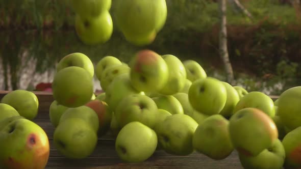 The Ripe Green Apples are Falling Down Outdoors on the Background of the Lake