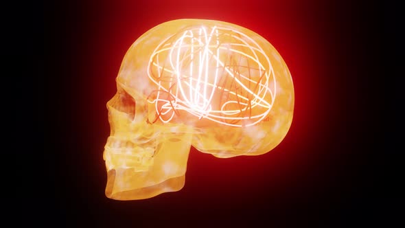 Brain Neon Work In Skull 4K