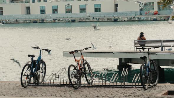 The Tourists Rest Surrounded By Seagulls in the Old Port of the City of Barcelona