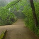 Pena Park Roads Shaded by Eerie Mist and Greenery of Forest - VideoHive Item for Sale