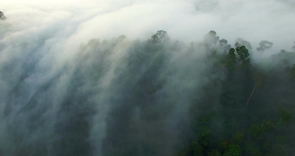 Wave Of  The Mist Into The Foothills