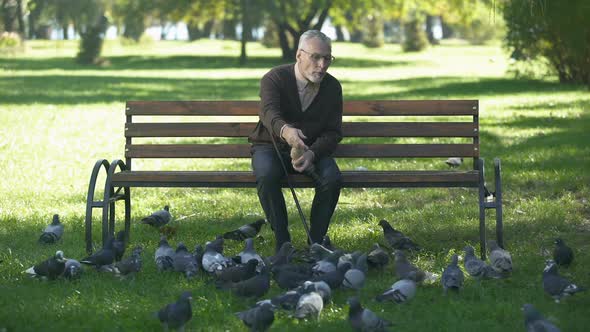 Smiling Elderly Man Relaxing and Feeding Pigeons in Park, Happy Retirement