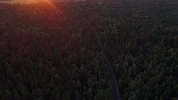 Aerial view of a road in the middle of the nordic pines forest in Estonia.