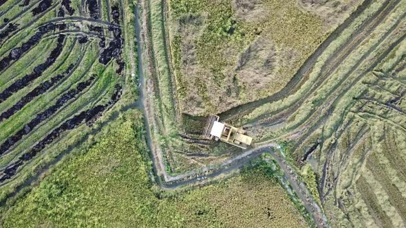 Aerial view harvester machine at rice paddy field 