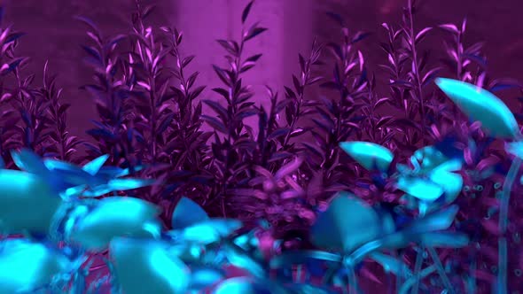 Grass Background Neon Purple