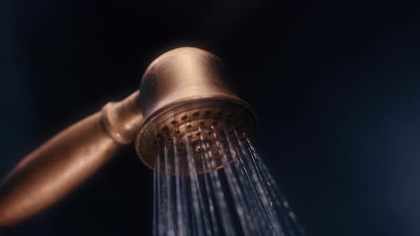 Golden Shower Head is Turns on