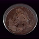 Chocolate Pudding Cup - VideoHive Item for Sale
