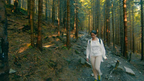 Woman Traveling in a Dense Fairy Forest Climbing Up