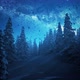 Snow fall in forest at night looped 4K - VideoHive Item for Sale