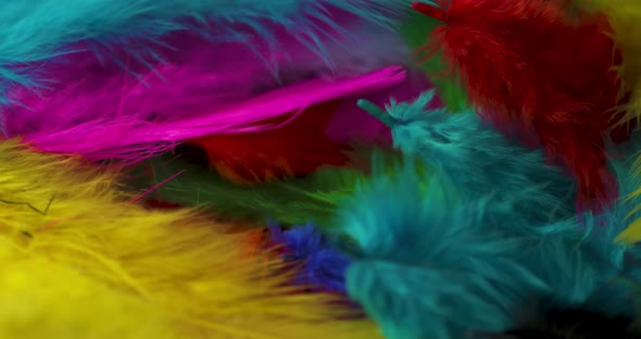 Rotating pile of colorful feathers.