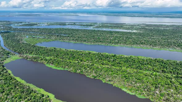 Stunning landscape of Amazon Forest at Amazonas State Brazil.