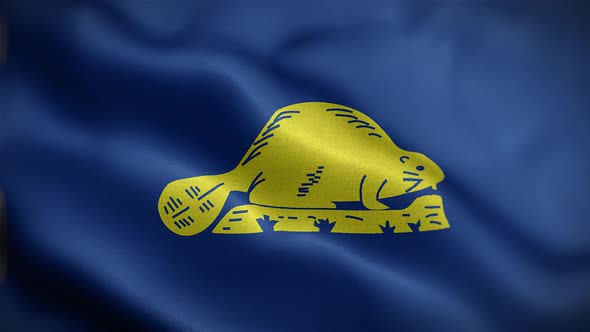 Oregon State Flag Back