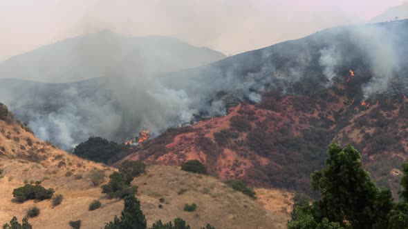 Wildfire Brush Fire 2