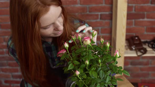 Beautiful Redhead Girl Looking After Flowers