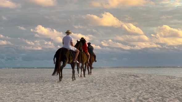 Horseback Riding on a Tropical Beach Along the Coast of Ocean