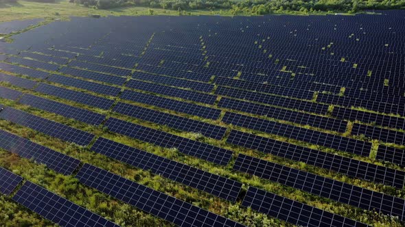 Aerial Top view on Solar Power Station in Green Field on Sunny day. Drone fly over Solar Farm.