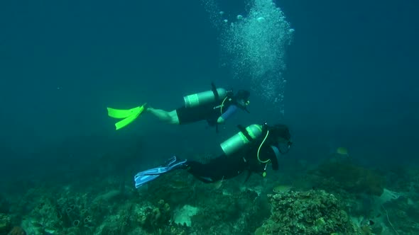 Scuba divers on coral reef