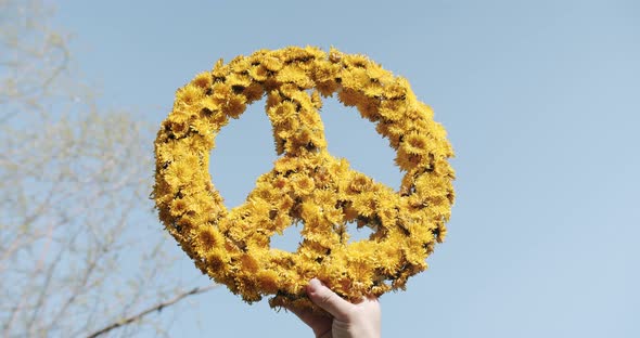 Handmade Peace Symbol Made of Yellow Dandelion Flowers on a Clear Blue Sky