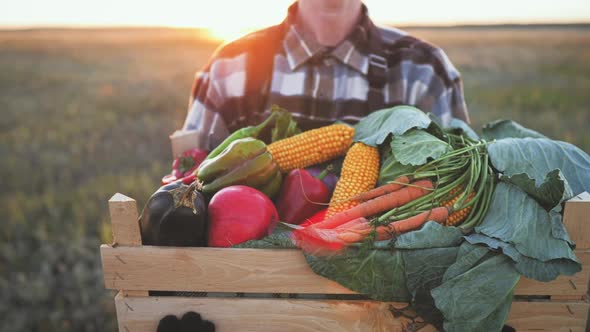 Organic Vegetables