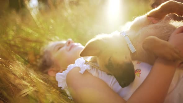Beautiful Children Lying on Grass Stroking Playing Walking with Puppies in Park at Sunset