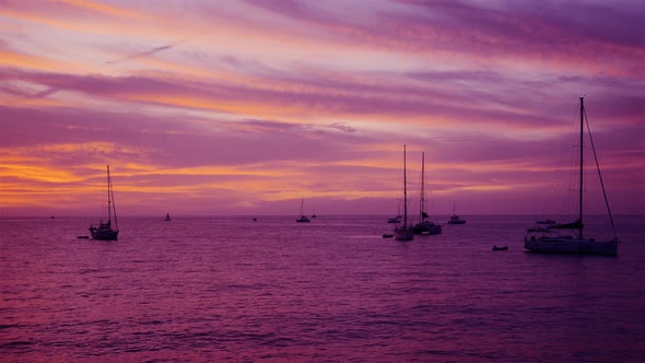 Pink Afterglow After Sunset with Sailing Ships and Yachts 4k