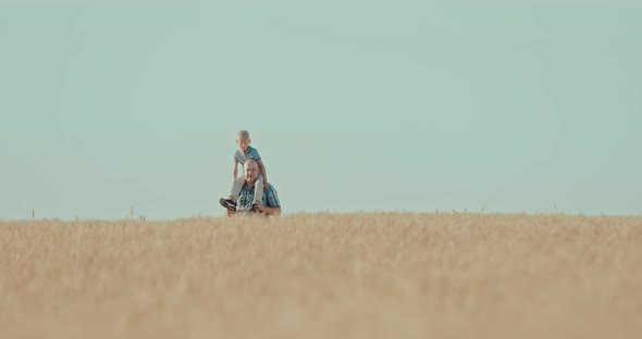 Large Wheat Field