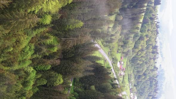 Vertical Video Village in the Carpathian Mountains in Autumn