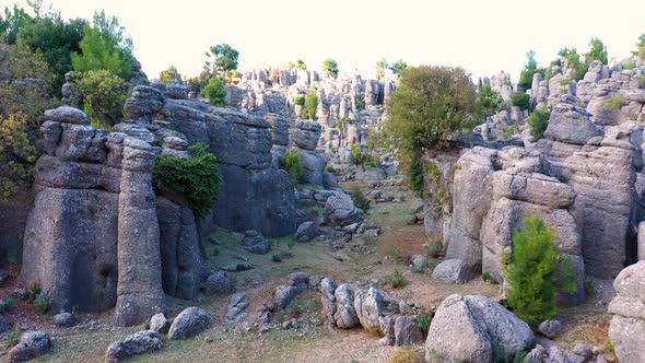 Landscape with Picturesque Rock Formations with Evergreen Trees on a Summer Day