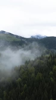 Carpathian Mountains