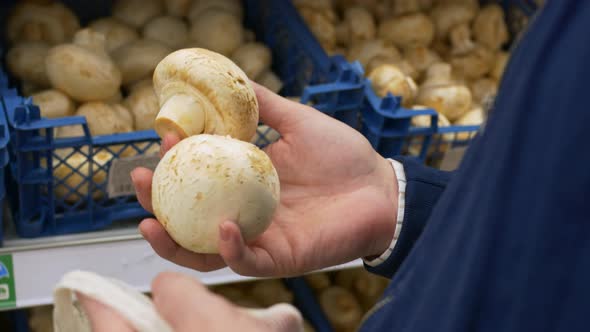 A Man Buys Fresh Champignon Mushrooms at a Farmer's Fair Takes White Champignon Mushrooms From the
