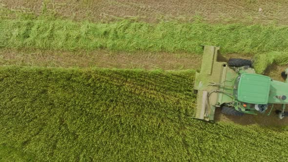 Combine harvester mowing Wheat, Aerial view