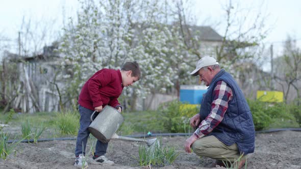 Elderly Farmer Teaches Beloved Grandson To Water Fresh Plants with a Watering Can