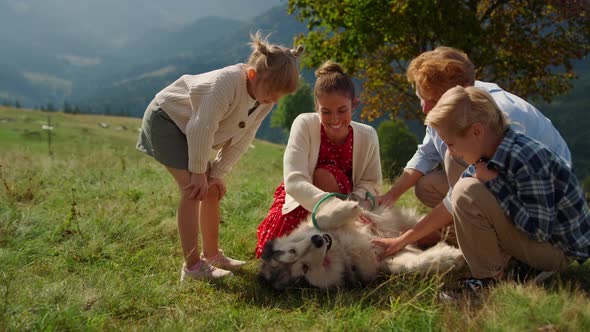 Family Petting Dog Lying Green Grass Close Up