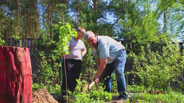 The Boy is Holding a Young Seedling the Father is Adding Earth to It