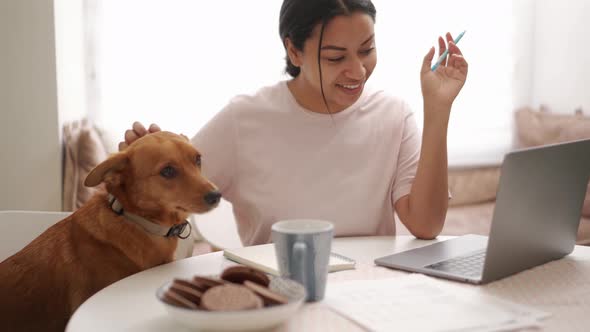 Positive woman stroking her dog and working with laptop