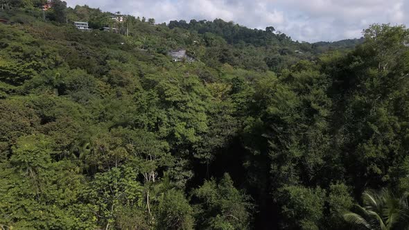 birds eye view over the beautiful green jungle of costa rica in the background the beach of playa pl