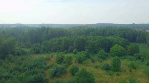 Aerial with Flight Over Small Forest