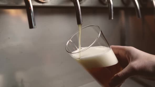 pouring in beer with bubbles and foam in glass from tap with hand holding it, angle side view