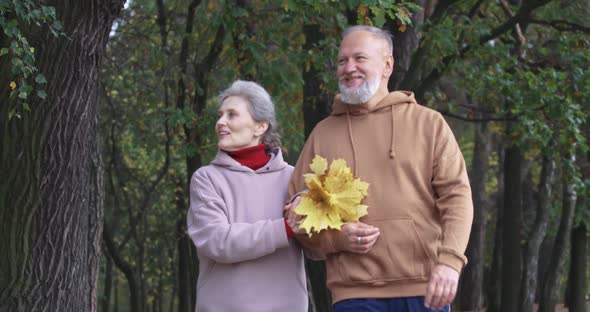 Elderly Couple on a Walk in a Forest Park, Autumn Day, Gray-haired Man and Woman Walking in a City