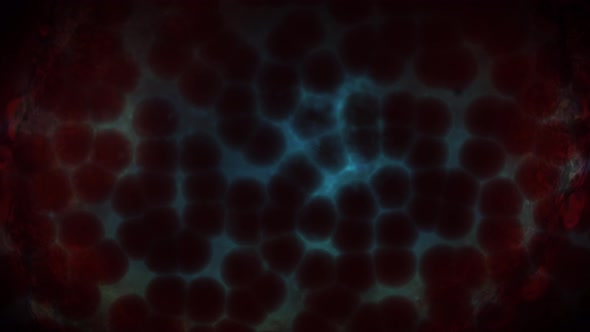 Bacteria Cells Life Medical Cinematic Microcosm Animation 4K Deep Blue