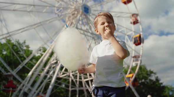Portrait of a Child with Sweet Cotton Candy. A Little Boy on the Background of Ferris Wheel Is