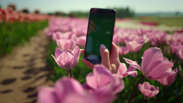 Unknown Woman Making Photo at Phone in Flowers