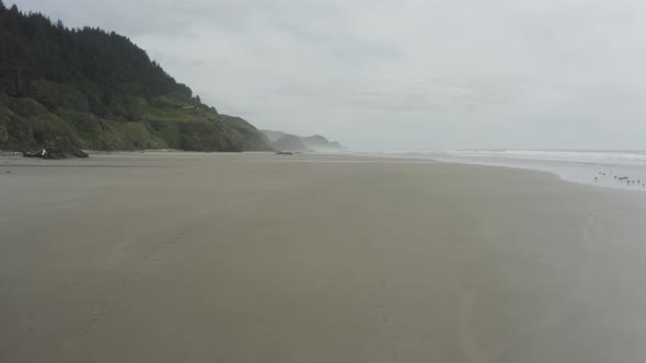 Slow forward tracking shot of expansive empty beach, Oregon coast