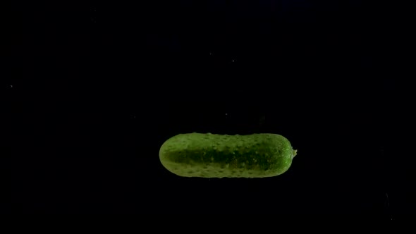 Cucumber Slow Motion Closeup Falling in Water