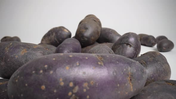 Purple Potatoes 6