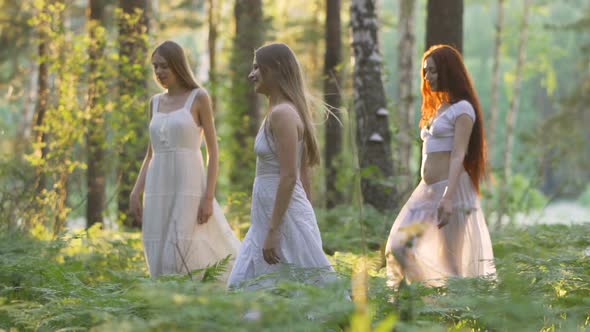 Three Beautiful Girls in White Dresses Are Walking in the Forest