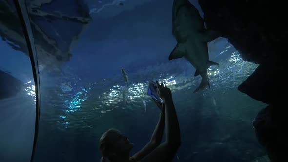 Woman with Touch Pad Shooting Shark in Oceanarium